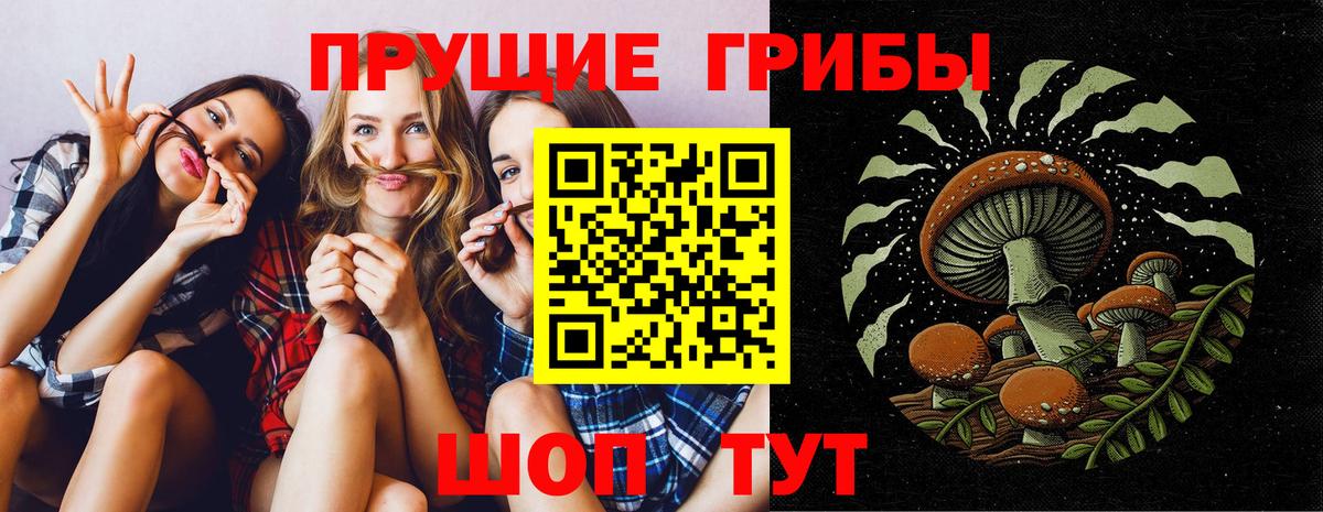 Галлюциногенные грибы прущие грибы  Вход с VPN  Зеленогорск 